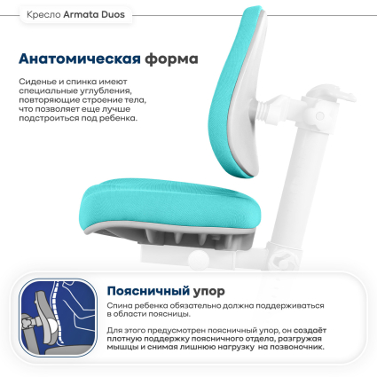 Анатомическая форма